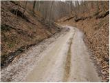 Bresternica (Šoberjev dvor) - Planinski dom Kozjak