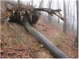Prebold - Reška planina