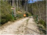 Martinčev Rovt - Jeseniška planina