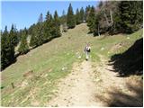 Planina pod Golico - Rosenkogel/Hruški vrh