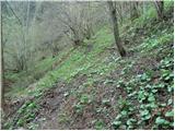 Dolina potoka Žep - Počka (Robnikova) planina