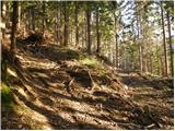 Dolina potoka Žep - Počka (Robnikova) planina