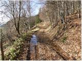 Dolina potoka Žep - Planina Mali Travnik