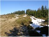 Dolina potoka Žep - Planina Mali Travnik