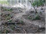 Kurnikovo sedlo - Kapelška koča / Eisenkappler Hütte