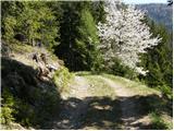 Zell-Schaida / Šajda - Obirska planina