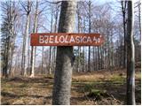 Vrbovska Poljana - Bjelolasica
