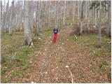 Vrbovska Poljana - Planinarsko sklonište na Bjelolasici bivouac