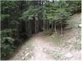 Rifugio  Nordio - Maria Schnee below Gozman