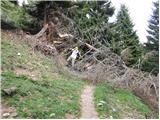 Rifugio Nordio - Zahomec (Achomitzer Berg)