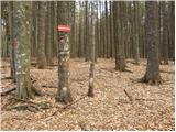 Dom na Osankarici - Posestvo Šumik