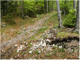 Bašelj - Planina Kališče