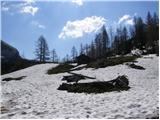 Planina pod Mišelj vrhom