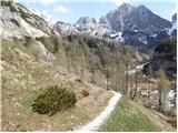 Stara Fužina - Planina pod Mišelj vrhom