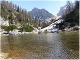 Planina pod Mišelj vrhom