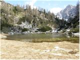 Stara Fužina - Planina pod Mišelj vrhom