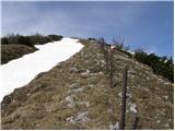 Planina pod Golico - Hruški vrh