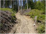 Planina pod Golico - Jeseniška planina