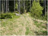 Planina pod Golico - Jeseniška planina
