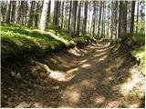 Planina pod Golico - Rosenkogel/Hruški vrh