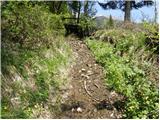 Planina pod Golico - Hruški vrh