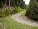 Venetski hrib/Windische Hohe - Wertschacher Alm