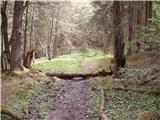 Venetski hrib/Windische Hohe - Kobesnock