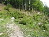 Podnar / Bodenbauer - Vgrizeva planina / Ogrisalm