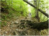 Bodenbauer - Ovčji vrh (Kozjak) / Geissberg (Kosiak)