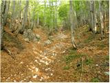 Podnar / Bodenbauer - Ovčji vrh (Kozjak) / Geissberg (Kosiak)