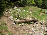 Bodenbauer - Ogrisalm/Vgrizeva planina