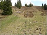 Waldrast - Seespitz (Koralpe)