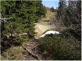 Waldrast - Großhöllerhütte (Golica/Koralpe)