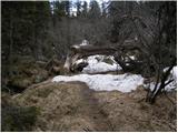 Waldrast - The Poms waterfall (Koralpe)