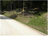 Lading - Velika Svinja / Ladinger Spitze (Svinška planina / Saualpe)