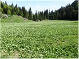 Planina Za Črno goro