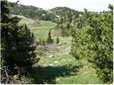 Planina Dol - Koritni vrh (Velika planina)