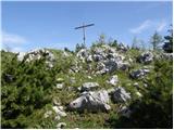 Kraljev hrib - Koritni vrh (Velika planina)