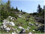 Planina Dol - Koritni vrh (Velika planina)