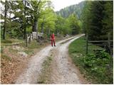 Ravne - Planina Dovška Rožca