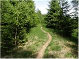 Dovje - Planina Dovška Rožca