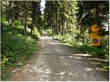 Gate below Mali vrh - Uršlja gora (Plešivec)