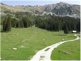 Planina Pungrat - Veliko Kladivo