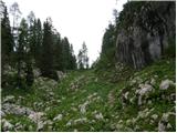 end of road on Vogar - Pršivec