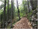 end of road on Vogar - Pršivec