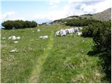 Koprein-Petzen - Bistriška špica/Feistritzer Spitze