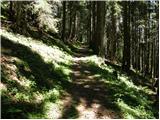 Koprivna (Kumer) - Planina Zgornja Luža