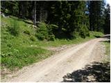 Koprein-Petzen - Wackendorfer Spitze