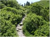 Bohinjsko sedlo - Slatnik (southeastern peak)