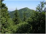 Bohinjsko sedlo - Slatnik (severozahodni vrh)